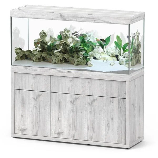 bao-aquarium130396