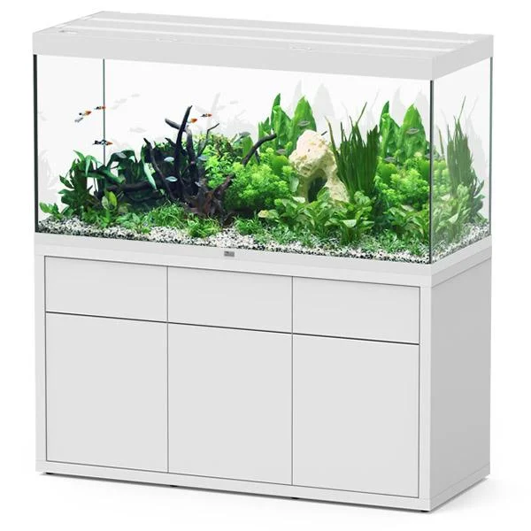 bao-aquarium130402