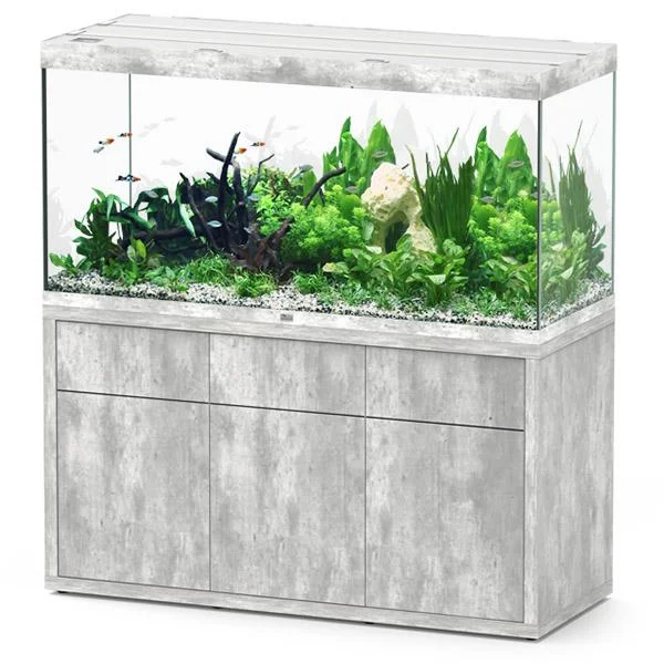 bao-aquarium130407