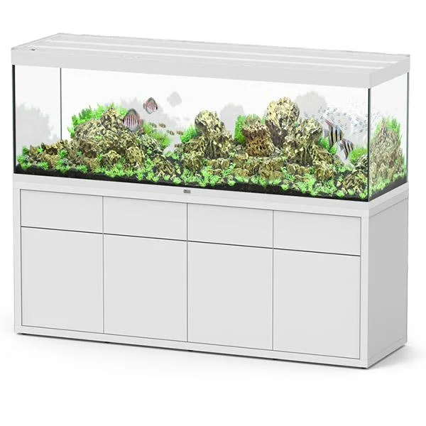 bao-aquarium130426