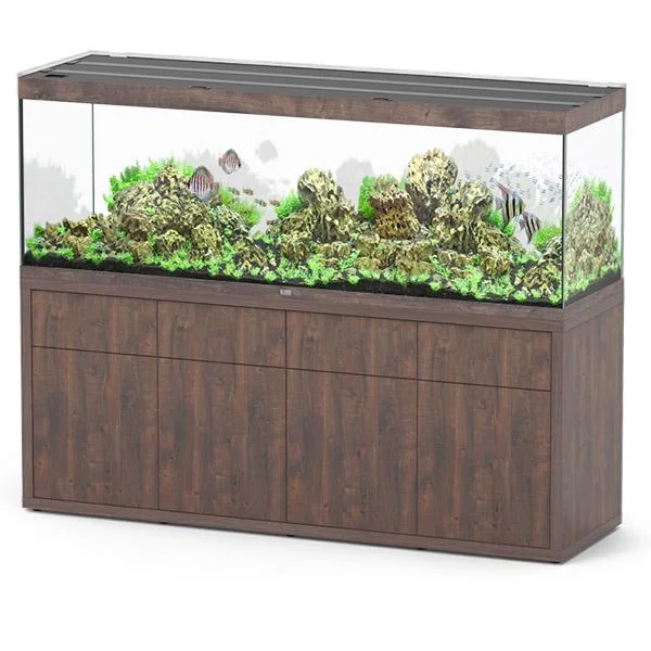 bao-aquarium130437