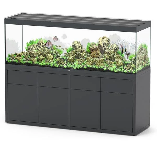 bao-aquarium130440