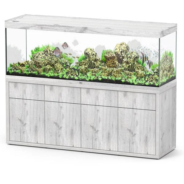 bao-aquarium130446
