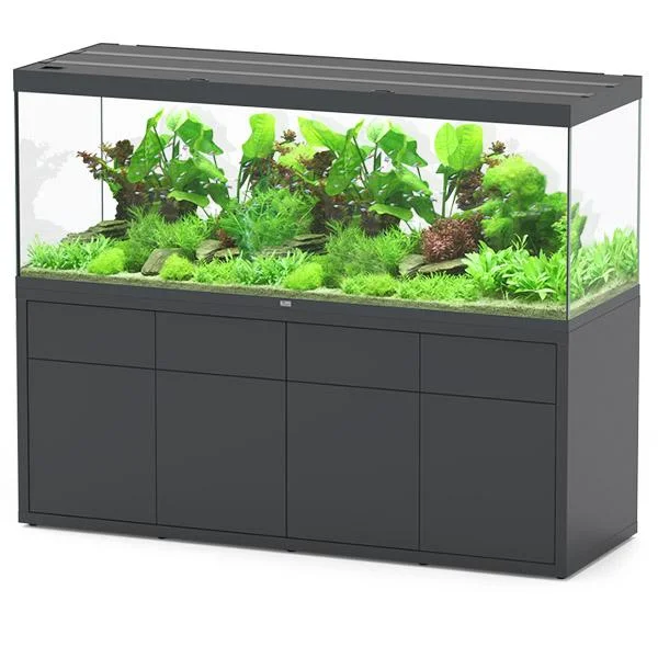 bao-aquarium130466