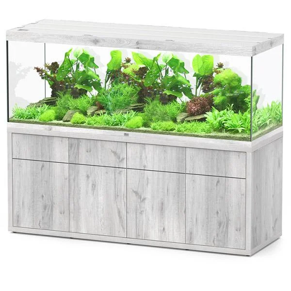 bao-aquarium130470