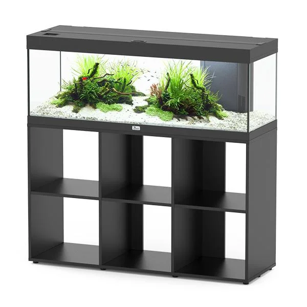 bao-aquarium130475