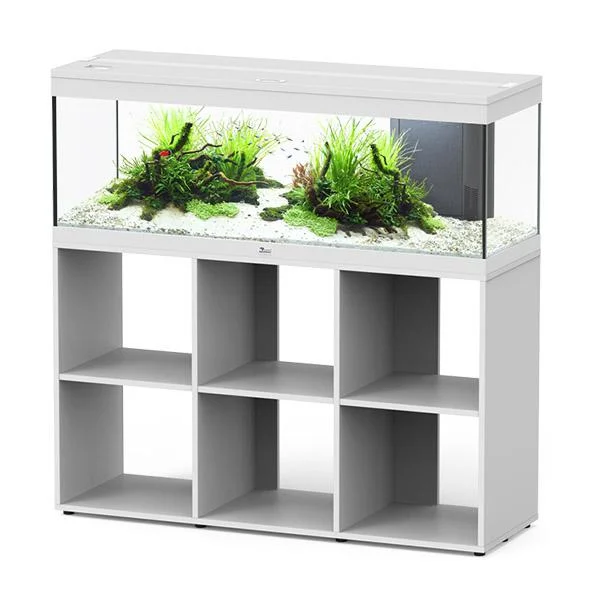 bao-aquarium130483