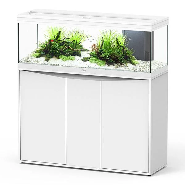 bao-aquarium130493
