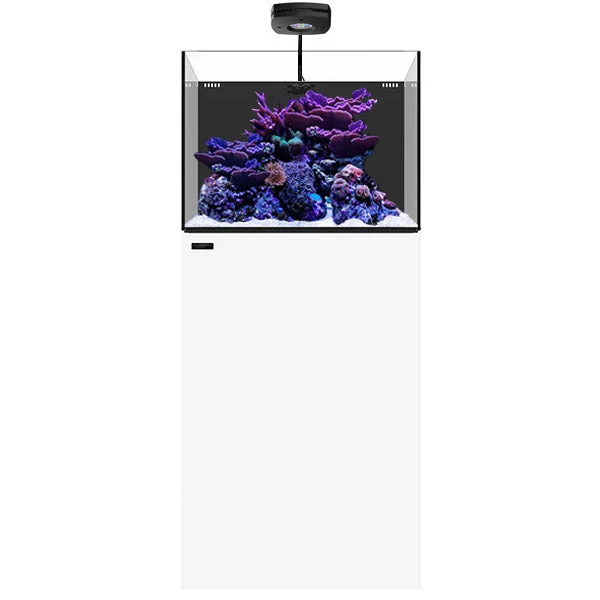 bao-aquarium130663