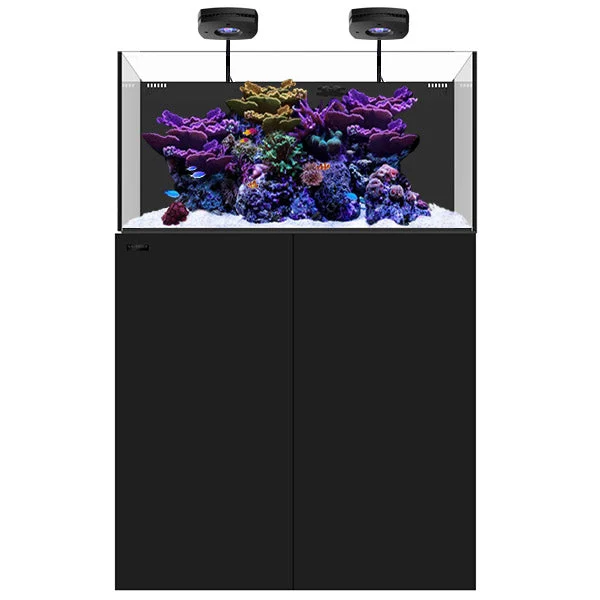 bao-aquarium130673