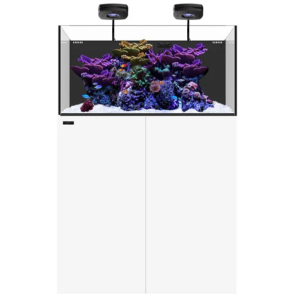 bao-aquarium130678