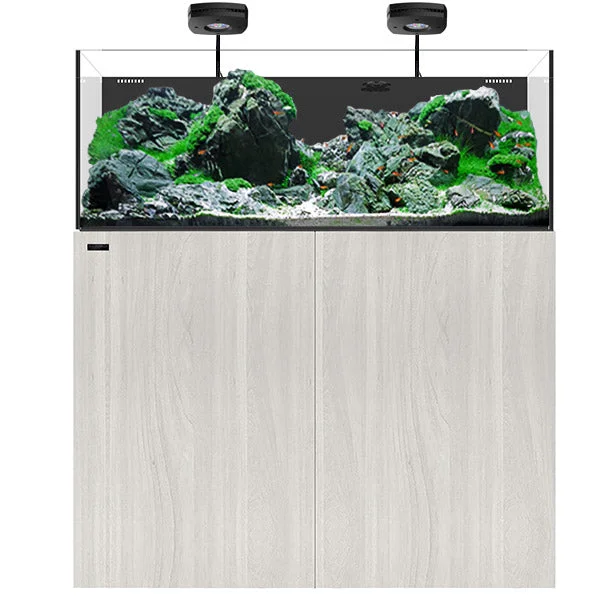 bao-aquarium131158