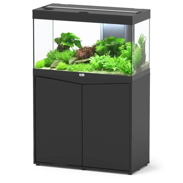 bao-aquarium131442