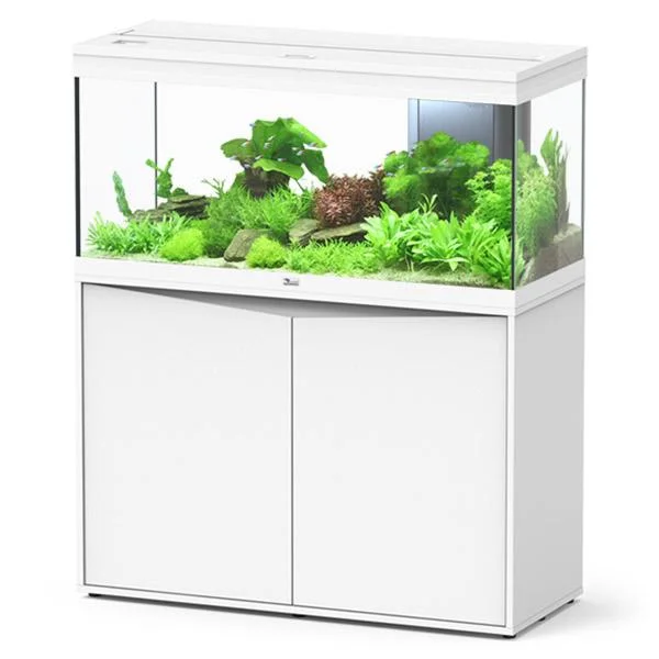 bao-aquarium131466