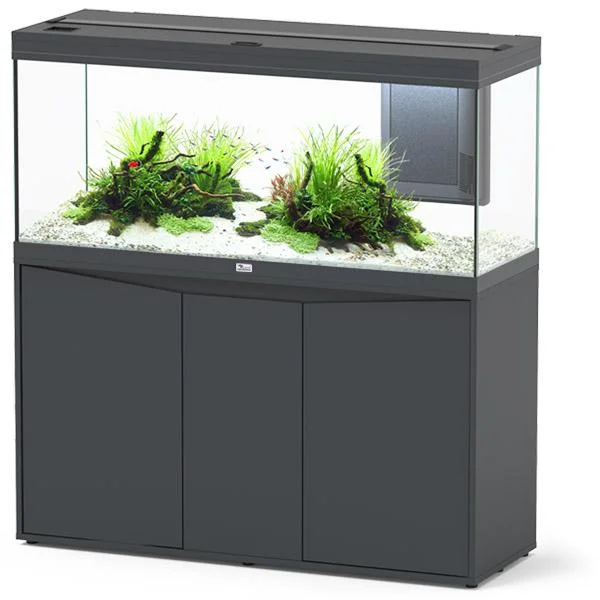 bao-aquarium131478