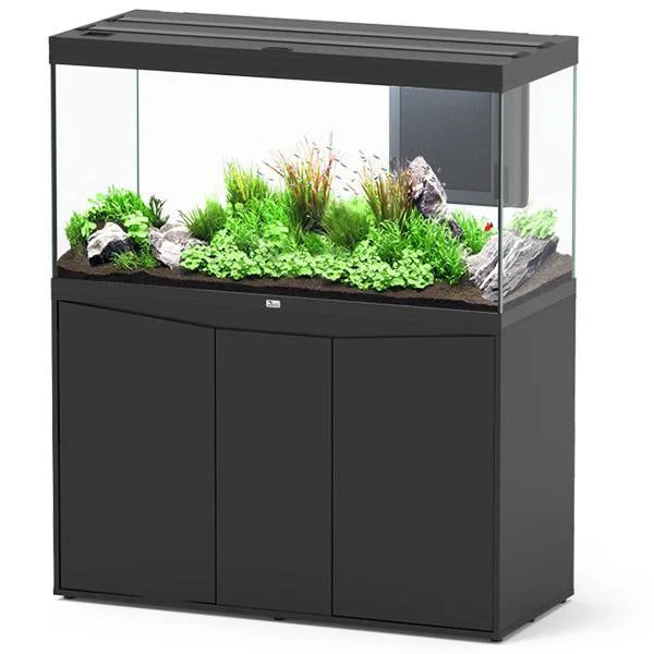 bao-aquarium131488