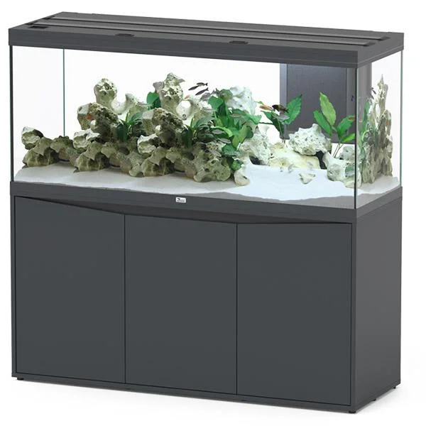 bao-aquarium131498
