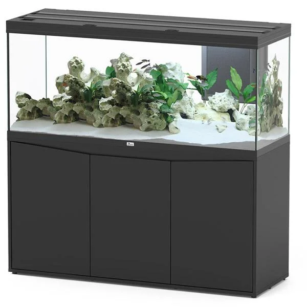 bao-aquarium131505