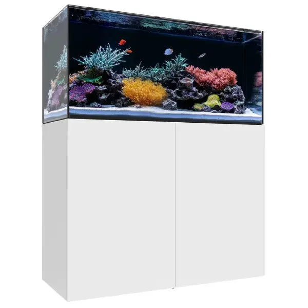 bao-aquarium131510