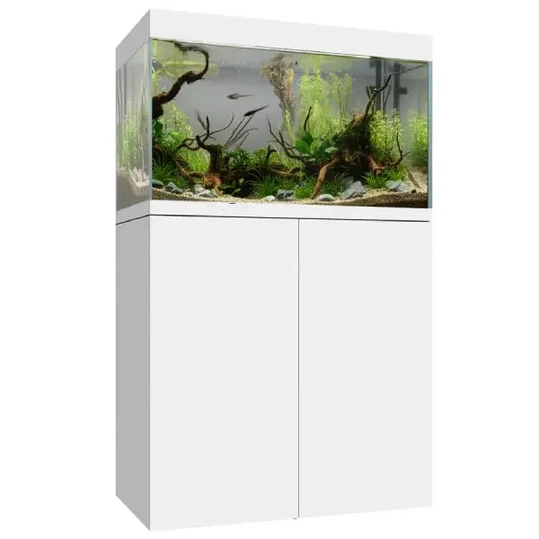bao-aquarium131534