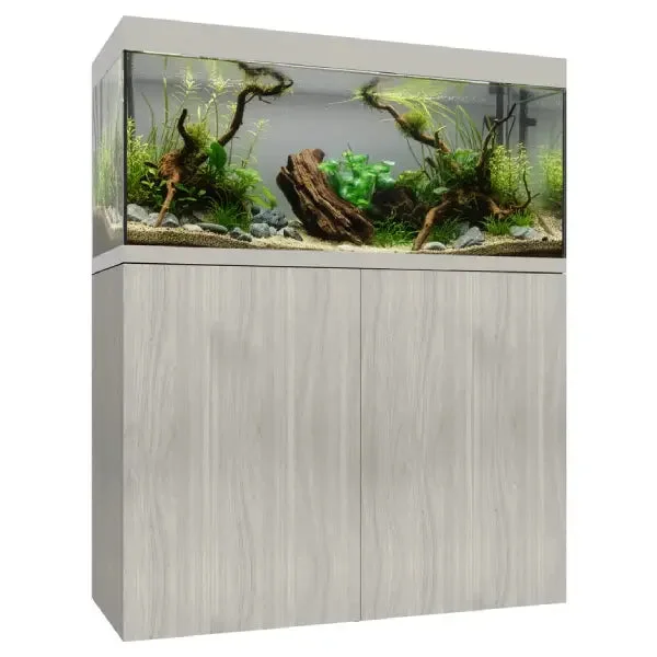 bao-aquarium131559