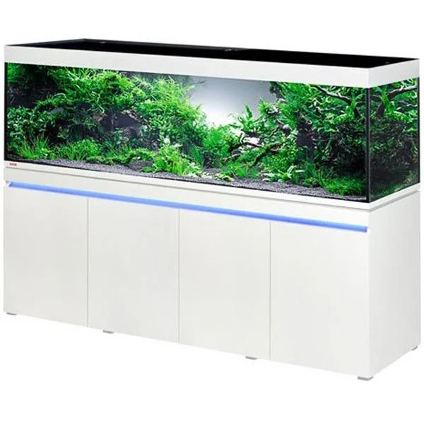 bao-aquarium131579