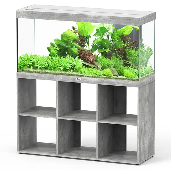 bao-aquarium132007