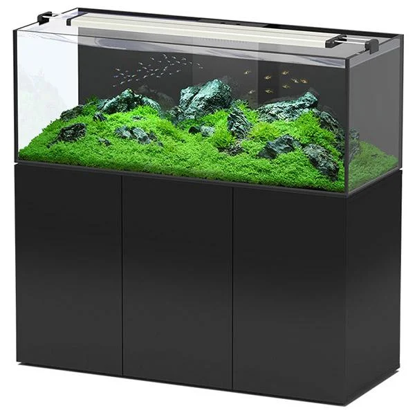 bao-aquarium132107