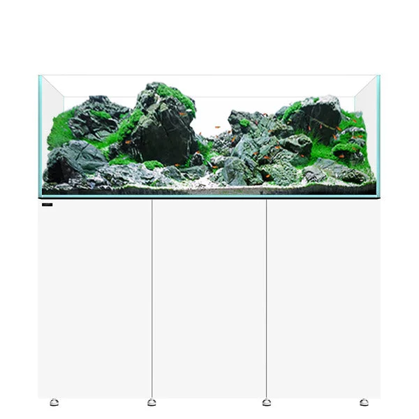 bao-aquarium132353