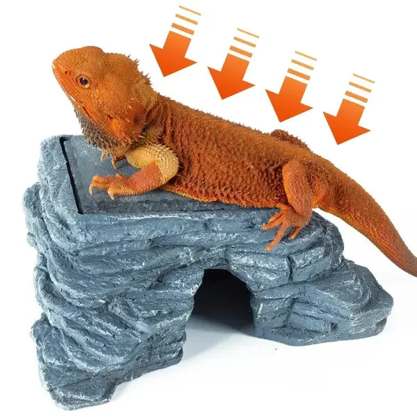 bao-aquarium132863