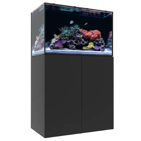 bao-aquarium133027