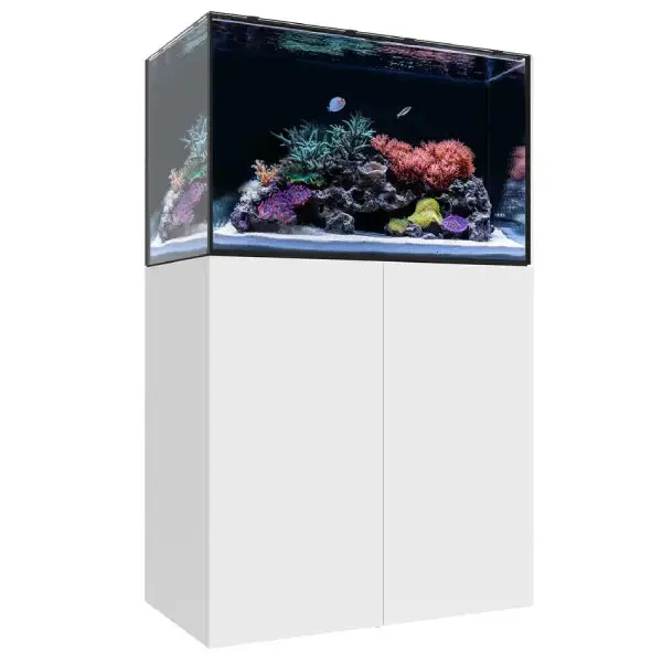 bao-aquarium133033