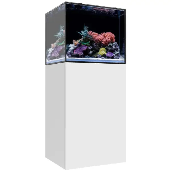 bao-aquarium133038