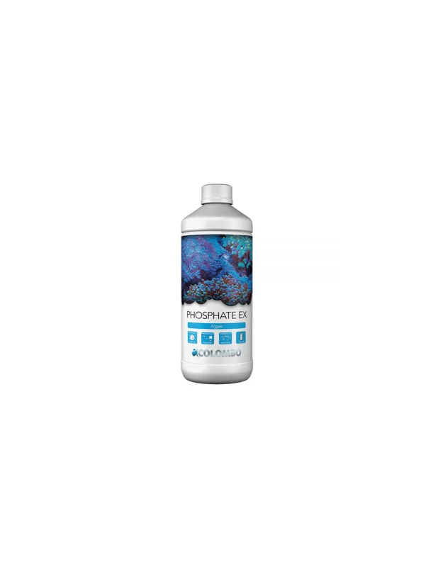 bellacoral829030