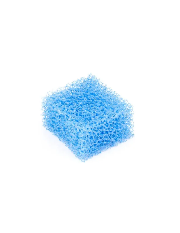 bellacoral832498