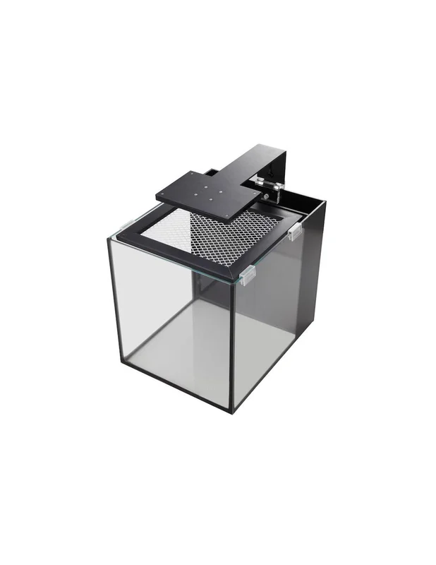 bellacoral834002