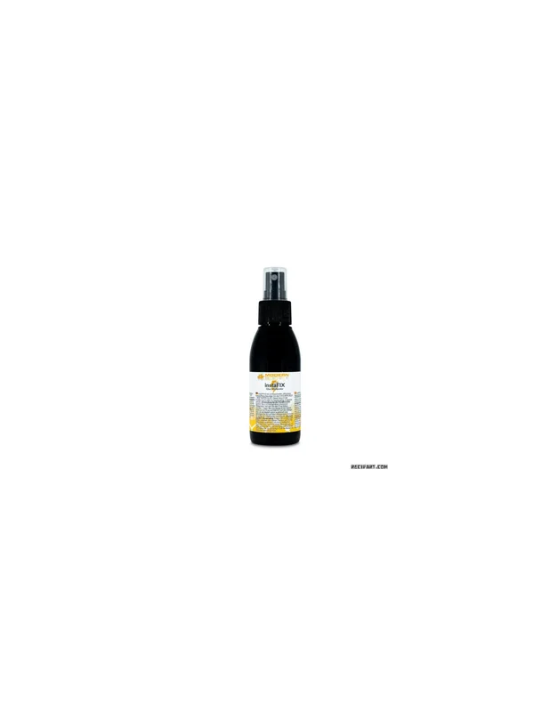 bellacoral835668