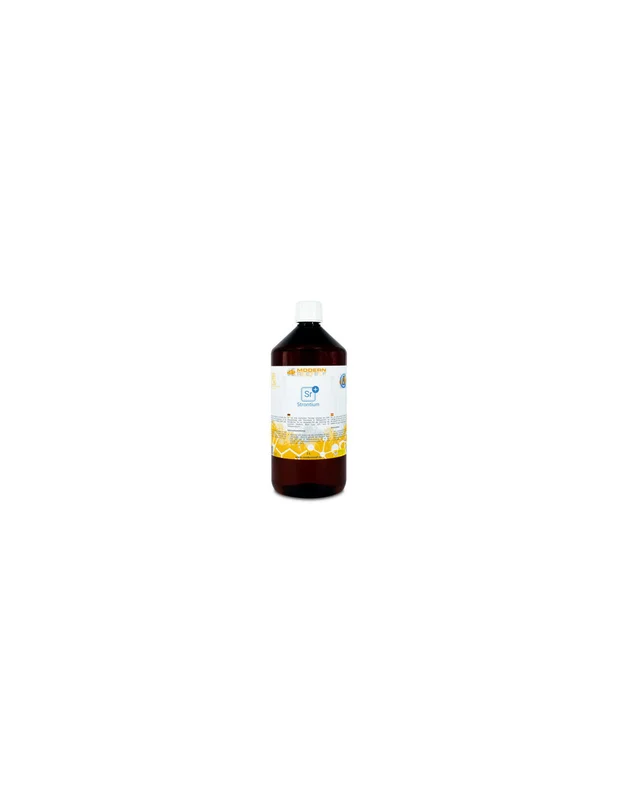 bellacoral836208
