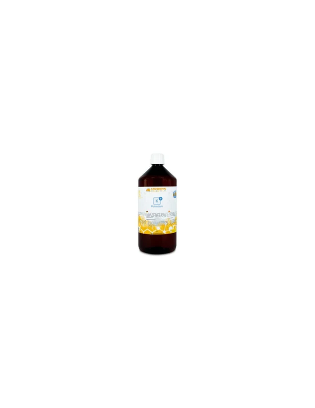 bellacoral836241