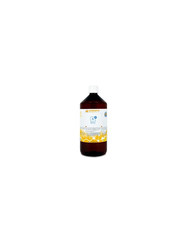 bellacoral836329