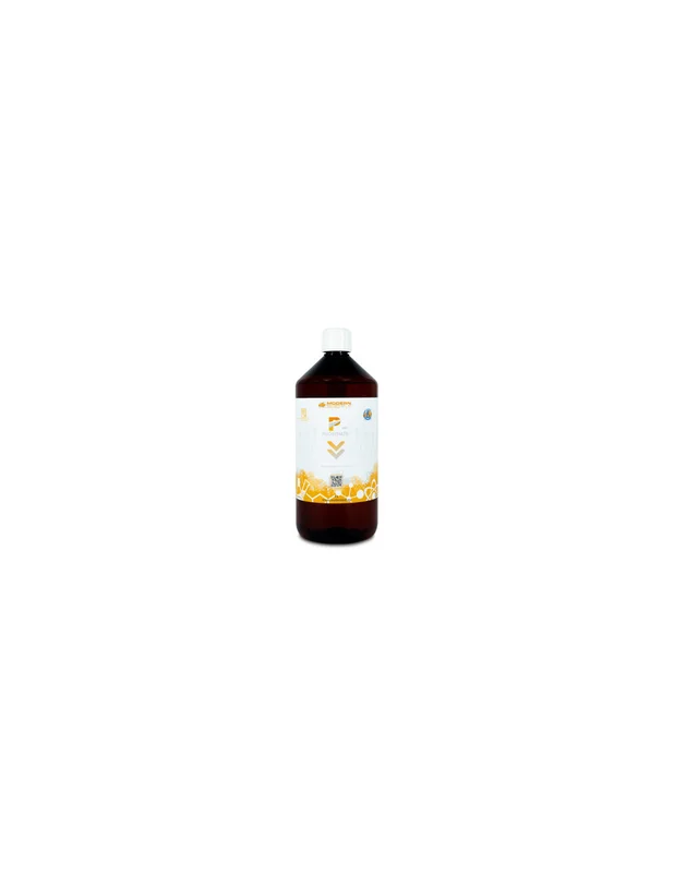 bellacoral836348