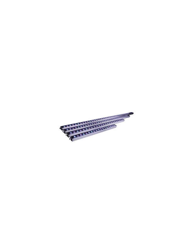 bellacoral838938