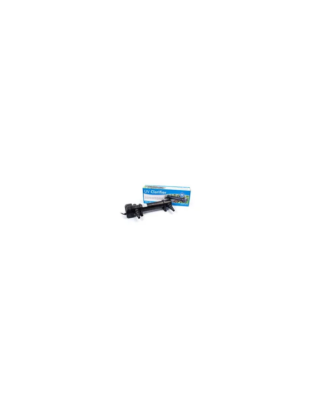 bellacoral839501