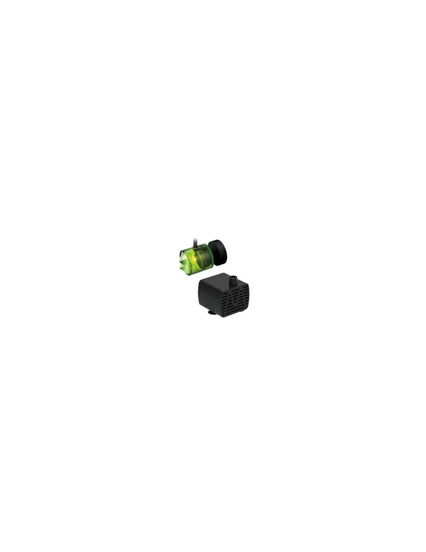 bellacoral840645