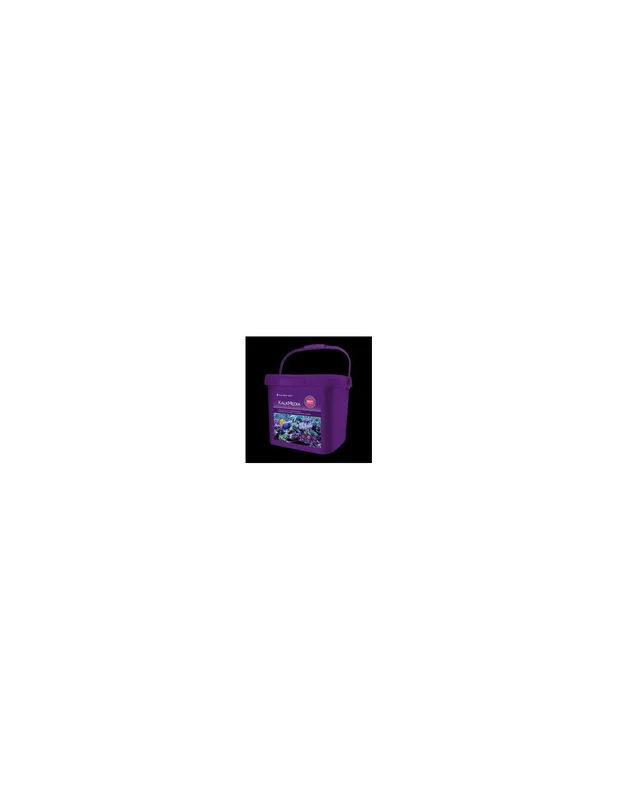 bellacoral840699