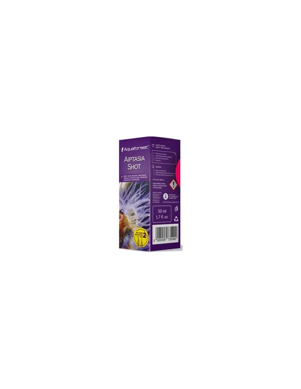 bellacoral840715