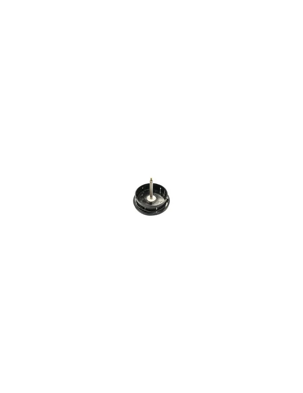 bellacoral841005