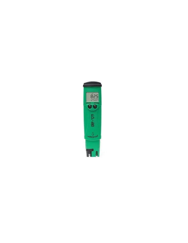 bellacoral841488