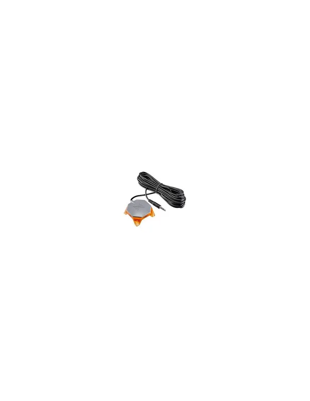 bellacoral841590