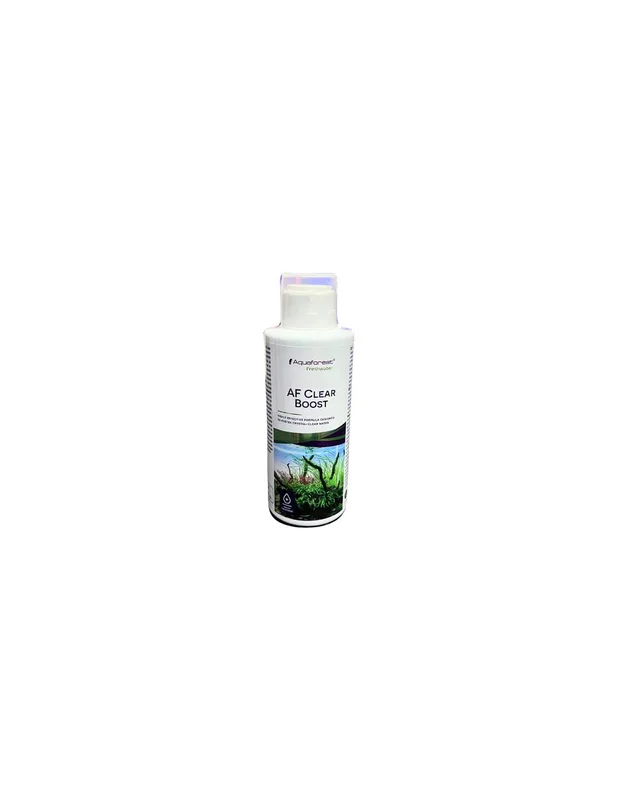 bellacoral841902
